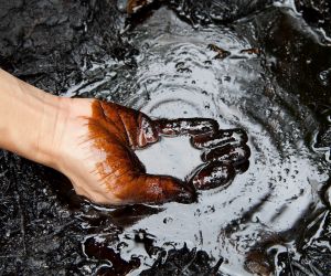 Energy markets are volatile—let key indicators fuel your trading strategy